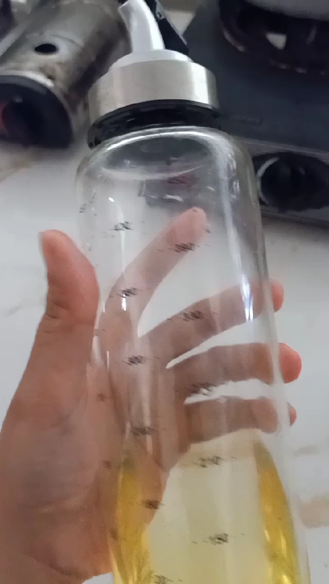 Video đánh giá